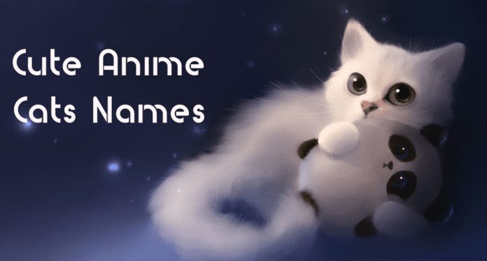 The Most Unique Japanese Cat Names That Are Just Right For Your Fur Baby -  Opptrends 2023